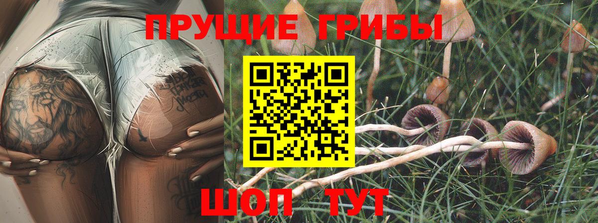 Галлюциногенные грибы мухоморы  Вход с VPN  где купить наркоту  Хабаровск 